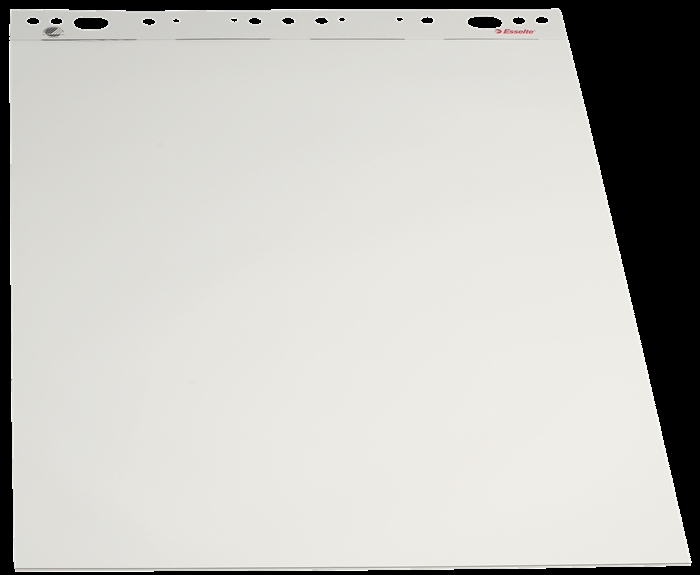 Esselte Flip Chart Pad 50 sheets 59x80 unruled 60g