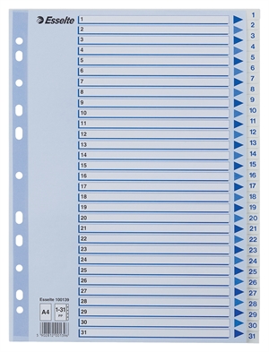 Esselte Register PP A4 1-31 white