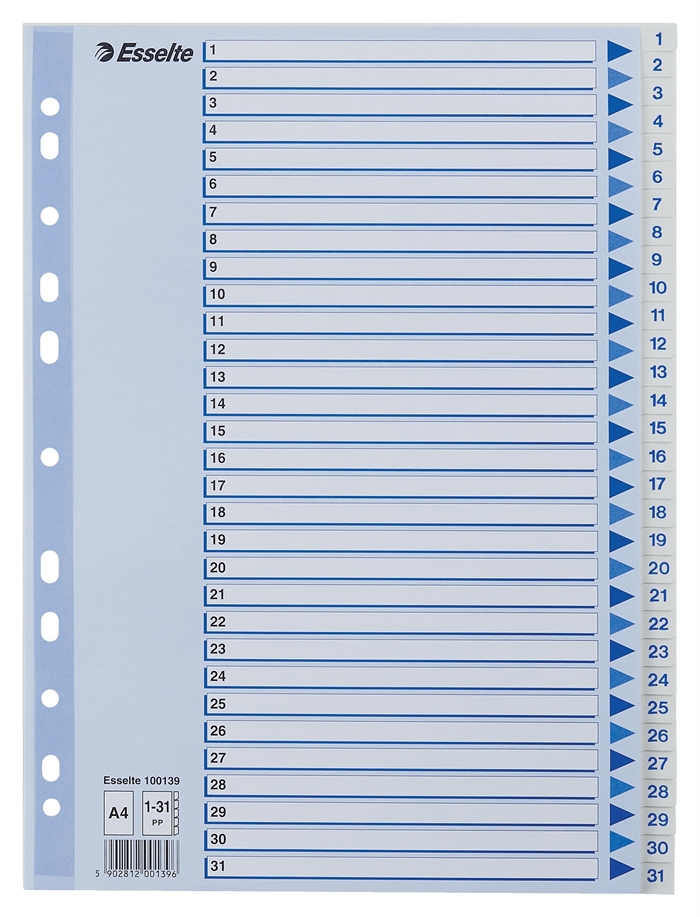 Esselte Register PP A4 1-31 white