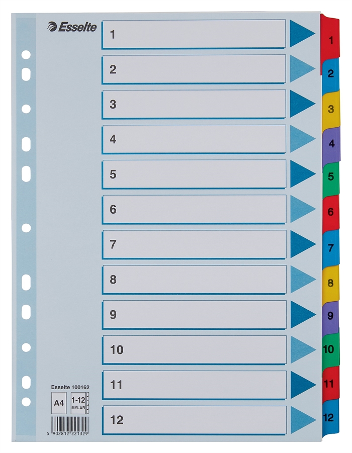 Esselte Register Mylar cardboard A4 1-12